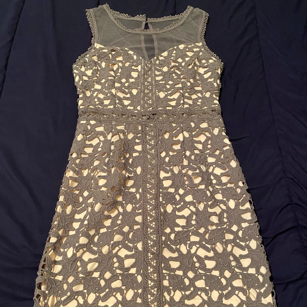 Summer Formal Lace Fit Dress